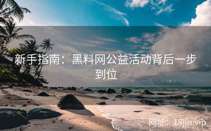 新手指南：黑料网公益活动背后一步到位