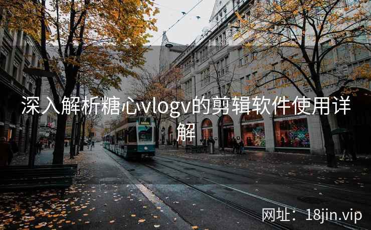 深入解析糖心vlogv的剪辑软件使用详解